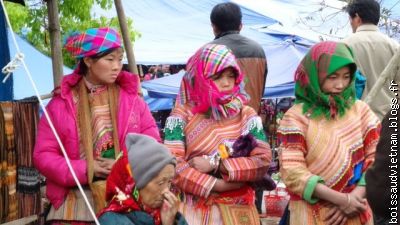 Hmongs fleuries